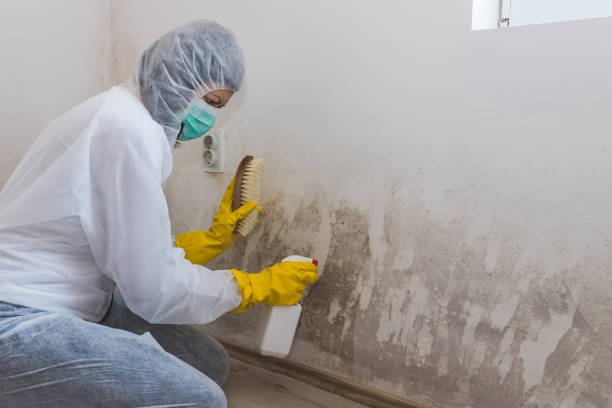 Best Post-Remediation Services in Aspermont, TX