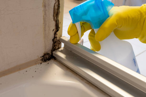 Best Health and Safety Mold Remediation in Aspermont, TX