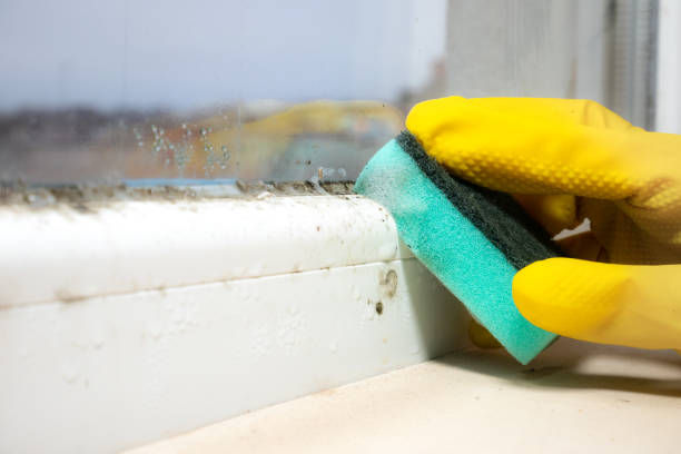 Best Industrial Mold Remediation in Aspermont, TX
