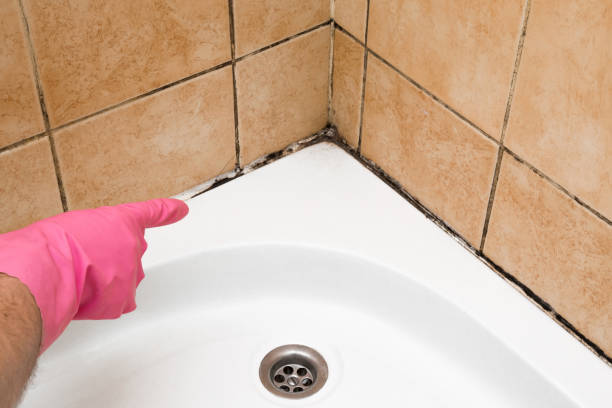 Best Emergency Mold Remediation in Aspermont, TX